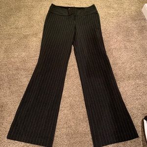 Express Editor Pants